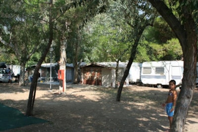 Pitch tent — 1