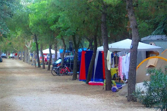 Camping Tellina