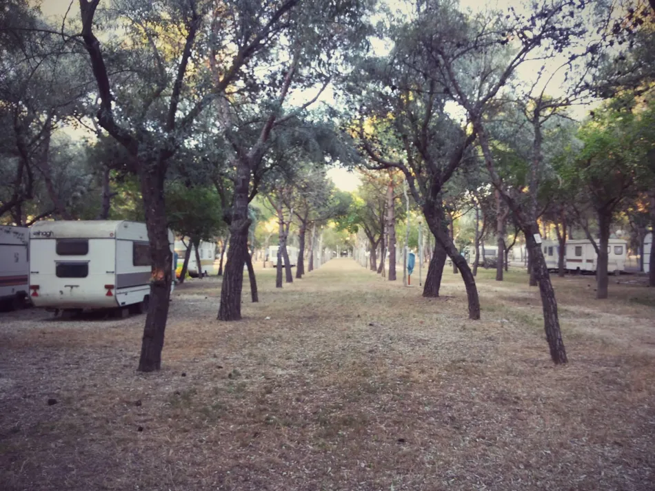 Camping Tellina
