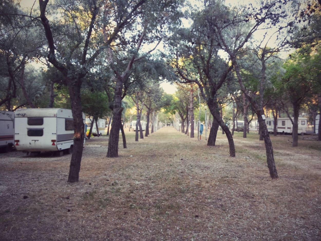 Camping Tellina