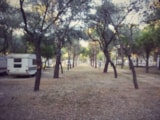 Foto #8 van Camping Tellina