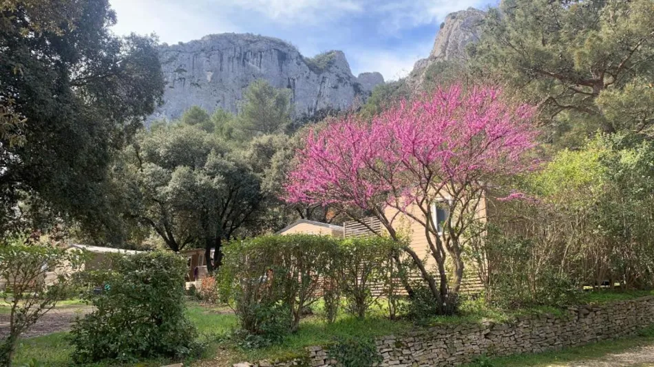 Camping La Vallée Heureuse