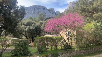 Camping La Vallée Heureuse