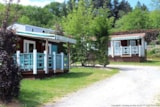 Foto #6 van Camping Au Bois Du Cé, PUY DU FOU ®