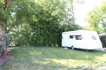 Stellplatz - Camping Pitches For 2 People + Car - Camping Au Bois Du Cé, PUY DU FOU ®