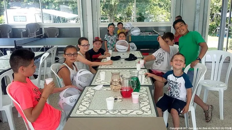 Camping Au Bois Du Cé, PUY DU FOU ®