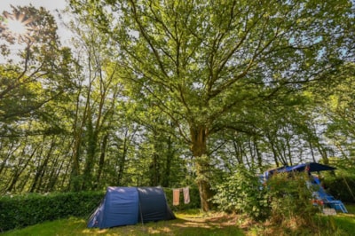 Nature camping pitch (Pitch + vehicle)