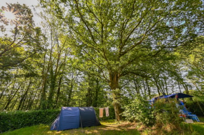 Bike / walk camping pitch