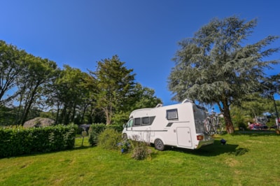 XL Luxury Camping Pitch (Pitch + vehicle + electricity 10 amp.)