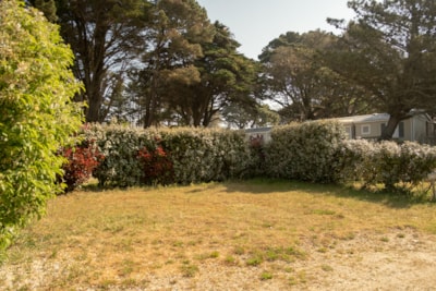 Package Pitch - 1 person (tent, caravan or motorhome / 1 car) — 2