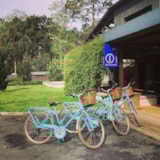 Foto #19 van Flower Camping Village Vacances Les Deux Etangs