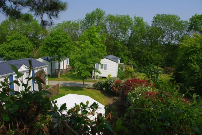 Camping Le Domaine des Jonquilles - image n°4 - Camping Direct