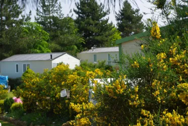 Camping Le Domaine des Jonquilles - image n°3 - Camping Direct