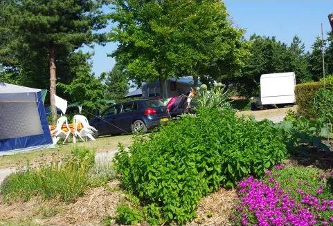 Camping Le Domaine des Jonquilles