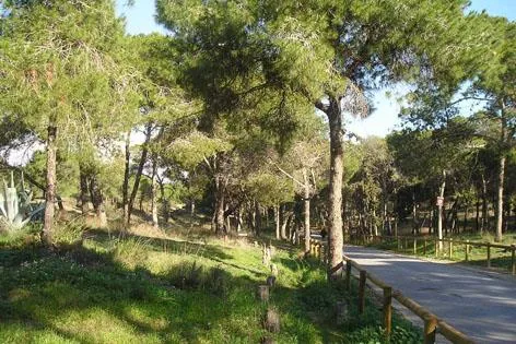 Alannia Costa Blanca