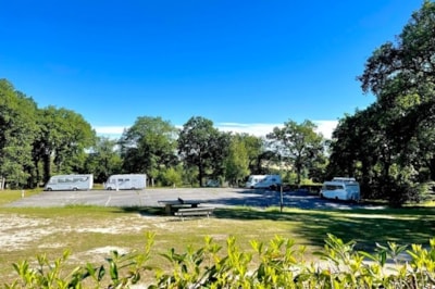 Camping package (pitch, 1 vehicle)