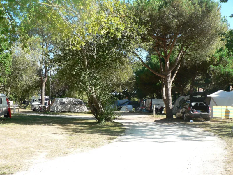 Forfait Confort (1 Tente, Caravane Ou Camping-Car / 1 Voiture / Électricité 20A)