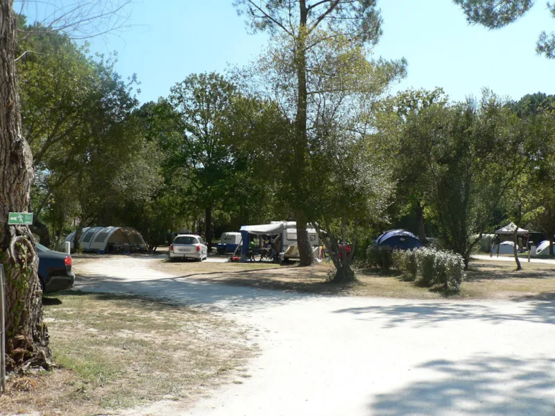 Forfait Confort (1 Tente, Caravane Ou Camping-Car / 1 Voiture / Électricité 20A)