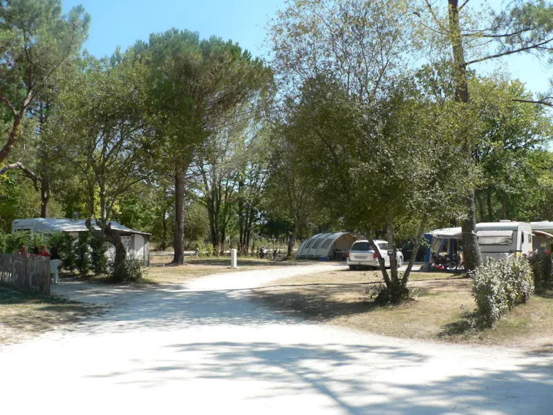 Forfait Confort (1 Tente, Caravane Ou Camping-Car / 1 Voiture / Électricité 20A)