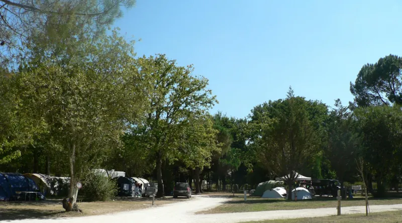 Forfait Confort (1 Tente, Caravane Ou Camping-Car / 1 Voiture / Électricité 20A)