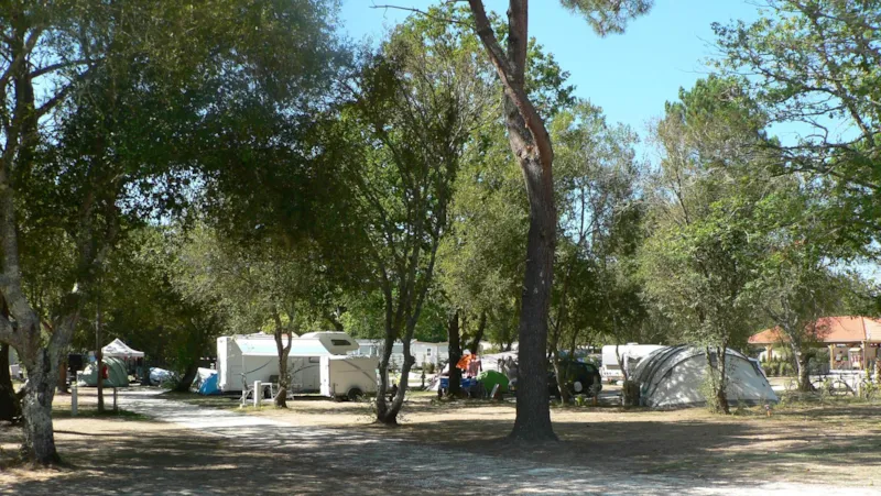 Forfait Confort (1 Tente, Caravane Ou Camping-Car / 1 Voiture / Électricité 20A)