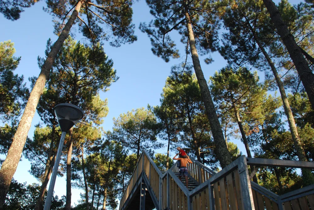 Plein Air Locations - camping Lou Pignada - image n°8 - Camping Direct