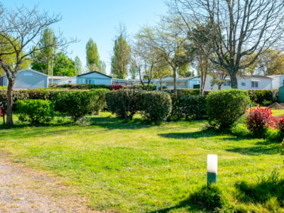 Pitch for tent, caravan and camper - 1 vehicle — 2