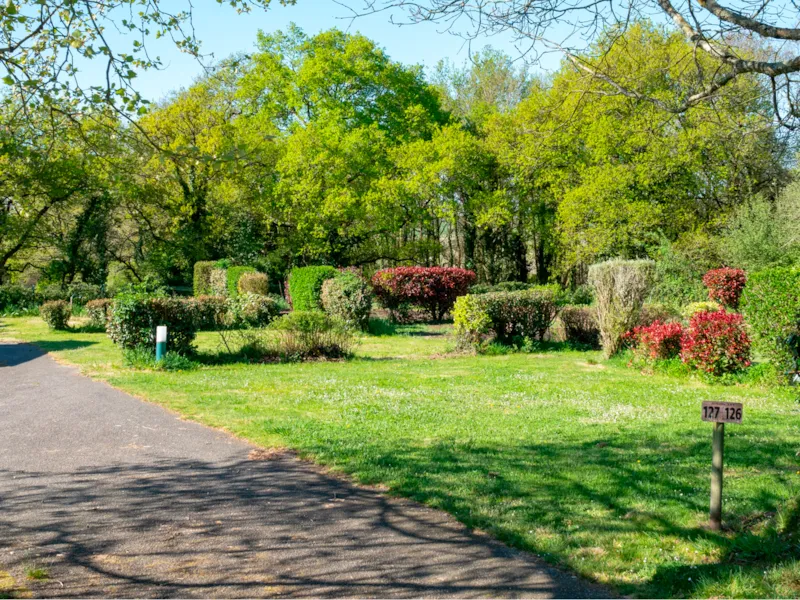 Emplacement Caravane Ou Tente + Electricité + Eau + Tout À L'égout + Véhicule -
