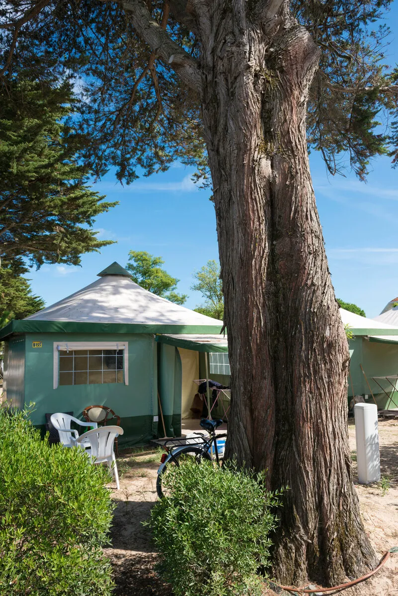 Bungalow Toilé 2 Chambres Sanitarisé D