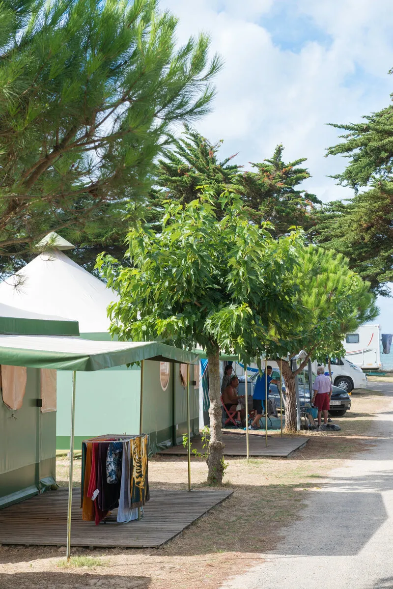 Bungalow Toilé 2 Chambres Sanitarisé D