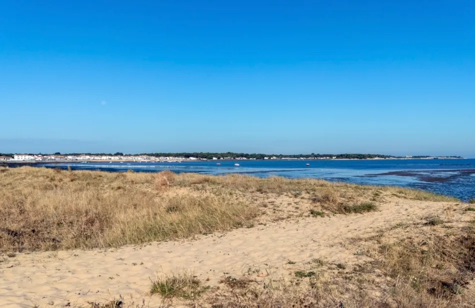 Flower Camping  Village Platin-Redoute