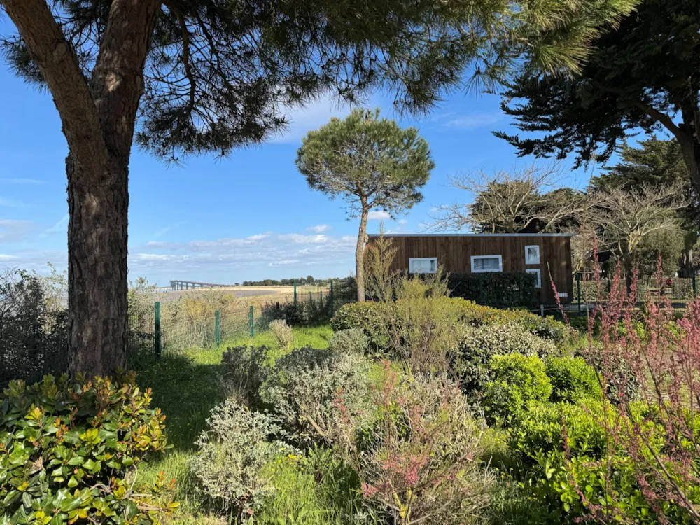 Location - Le Platin - Karlotte Vue Mer Premium 23M² -2 Ch -Terrasse -Tv -Clim - Plancha- Avec Sanitaires - - Flower Camping  Village Platin-Redoute