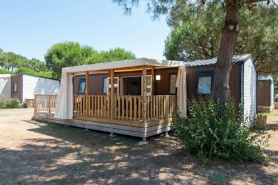 Cottage Tribu COMFORT air-conditioned / D — 9