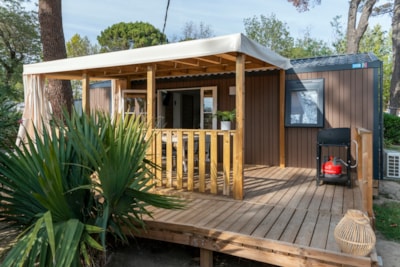 Cottage Access' PRM PREMIUM / S