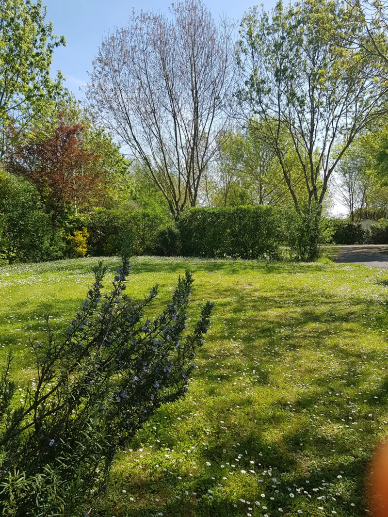 Forfait Camping 2 Personnes Sans Électricité