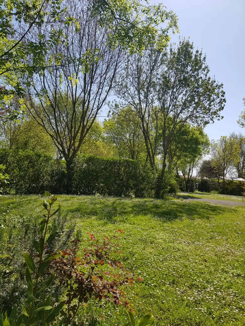 Forfait Camping 2 Personnes Sans Électricité