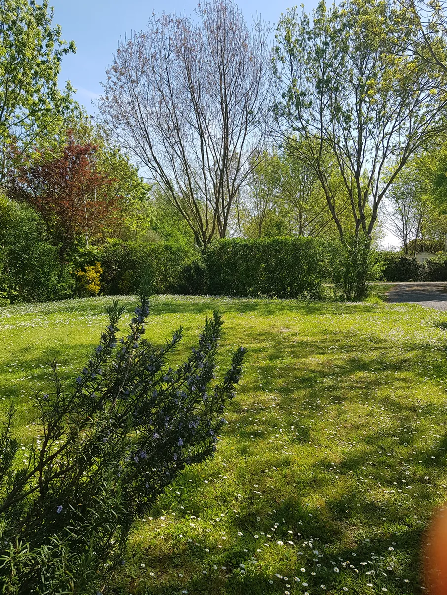 Emplacement - Forfait Camping 2 Personnes + Électricité - Camping Fleurs des Champs