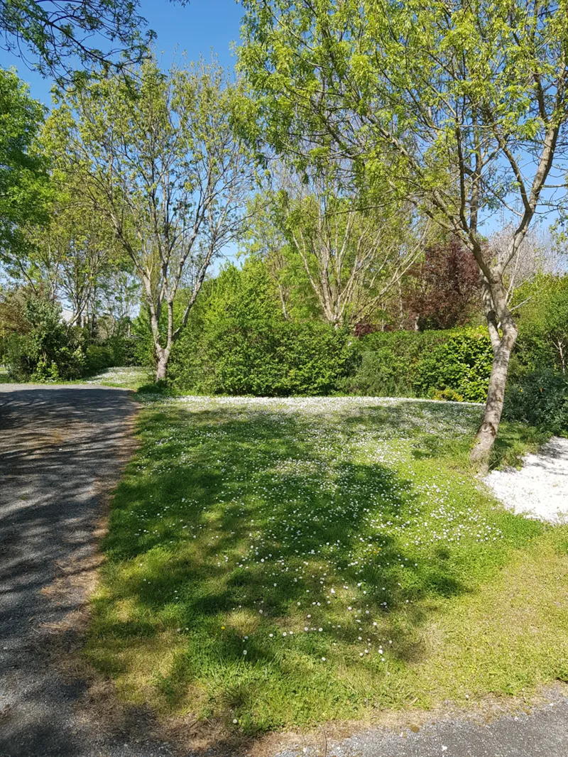 Forfait Camping 2 Personnes + Électricité