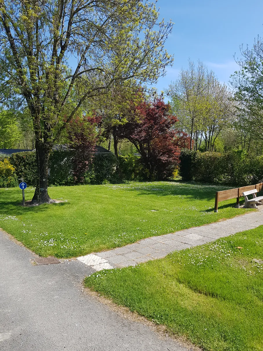 Emplacement - Emplacement Partagé Vélo - Camping Fleurs des Champs