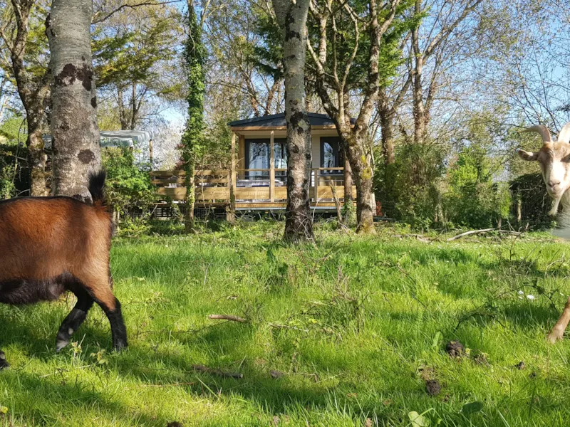 "Le Coucher De Soleil" Premium (2 Ch, Vue Ouverte, Lv)