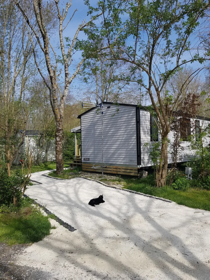 "Bambous" (2 Ch, Lv)