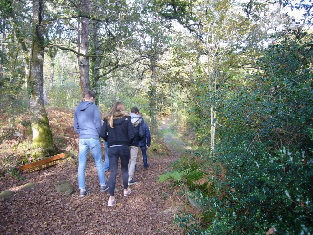 Camping Ecologique le Lac O Fées