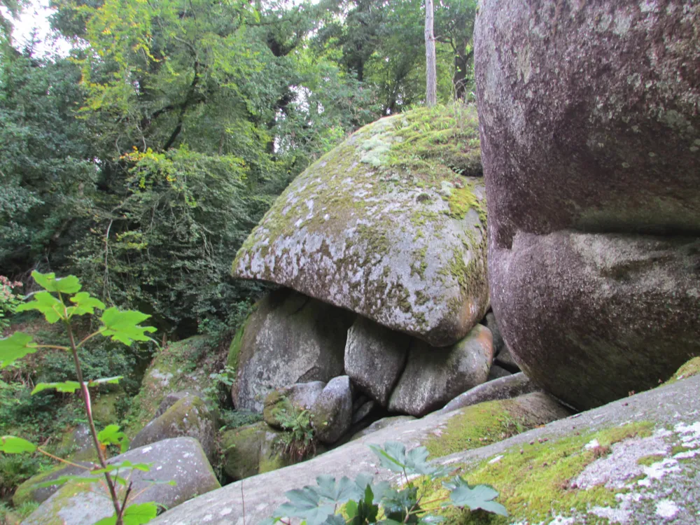 Camping Ecologique le Lac O Fées