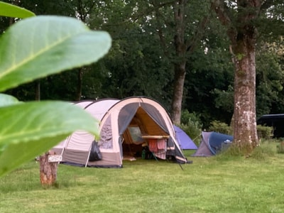 Nature Pitch  - tent, caravan or motorhome >100m² - 4pax max — 3