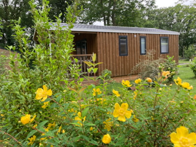 Mobile home Confort 36m² - 3 bedrooms - 6 pax- FARFADET or TROLL — 2