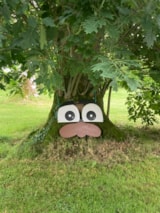 Foto #6 van Camping Ecologique le Lac O Fées