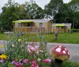 Foto #3 van Camping Ecologique le Lac O Fées