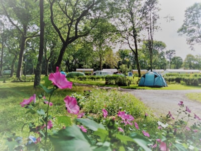 Nature Pitch  - tent, caravan or motorhome >100m² - 4pax max — 2