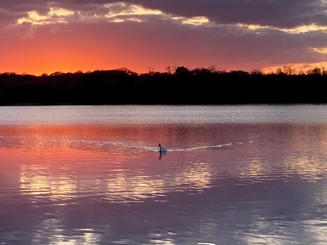 Douce Parenthèse À Deux !