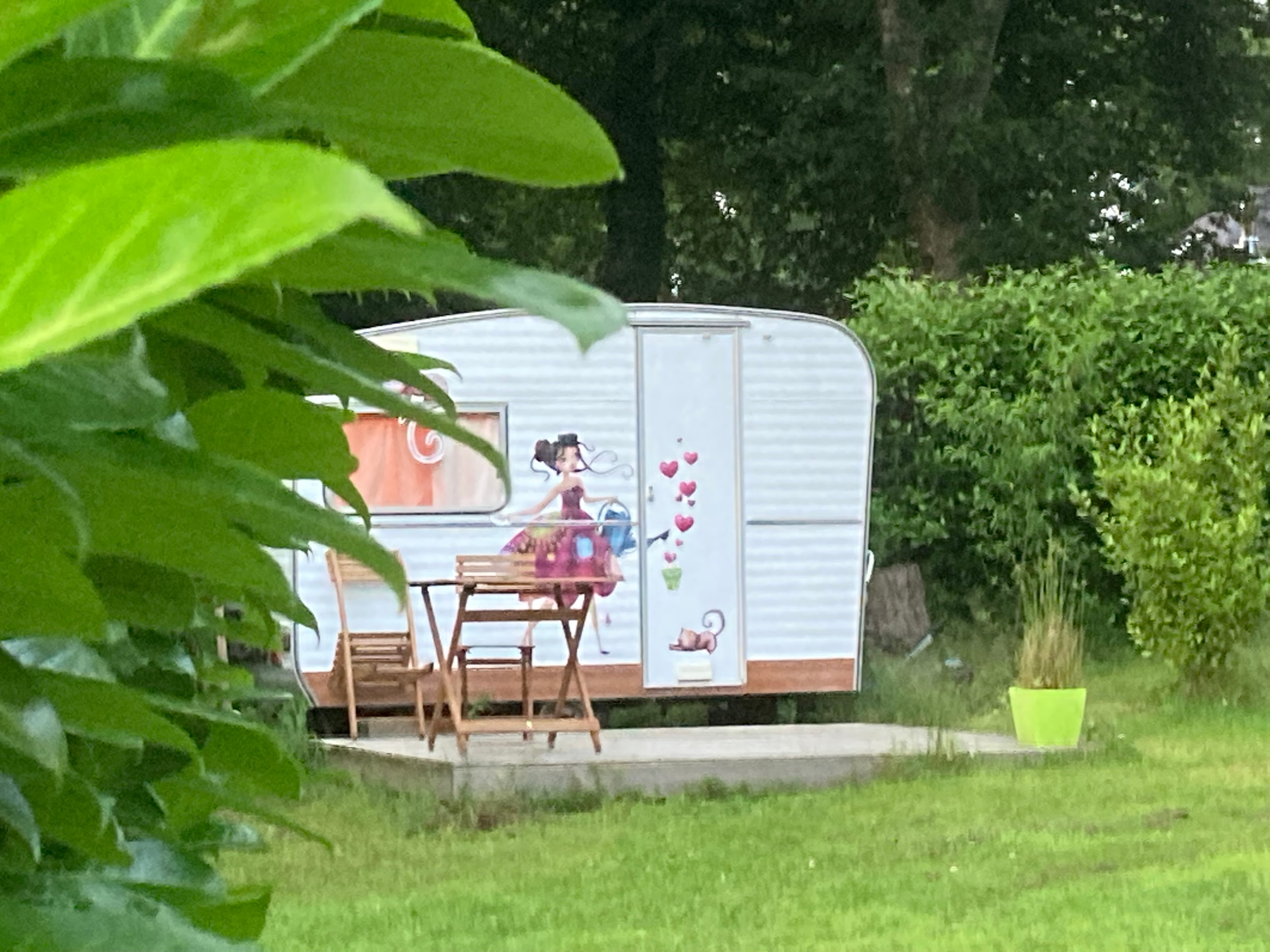Camping Ecologique le Lac O Fées — Photo 8